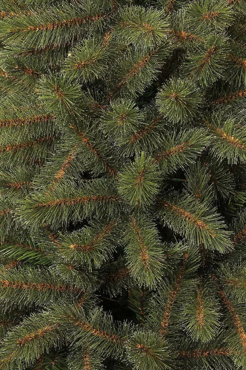 Outlet Kerstboom Toronto (H155 X O102 Cm) Kerstbomen